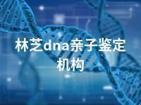 林芝dna亲子鉴定机构