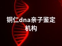 铜仁dna亲子鉴定机构