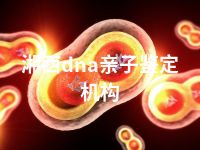 湘西dna亲子鉴定机构