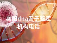 襄阳dna亲子鉴定机构电话