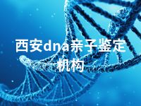 西安dna亲子鉴定机构