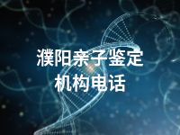 濮阳亲子鉴定机构电话