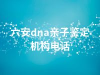 六安dna亲子鉴定机构电话