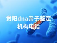 贵阳dna亲子鉴定机构电话