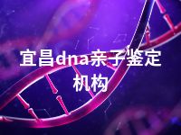 宜昌dna亲子鉴定机构