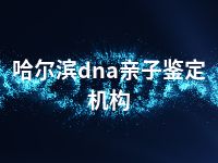 哈尔滨dna亲子鉴定机构