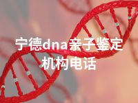 宁德dna亲子鉴定机构电话