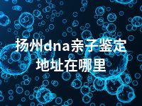 扬州dna亲子鉴定地址在哪里