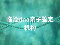 临沧dna亲子鉴定机构