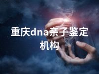 重庆dna亲子鉴定机构