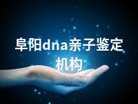 阜阳dna亲子鉴定机构