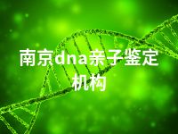 南京dna亲子鉴定机构