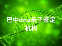 巴中dna亲子鉴定机构