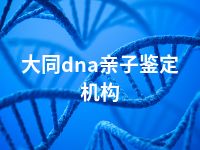 大同dna亲子鉴定机构