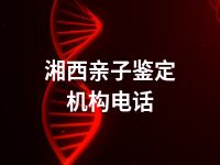 湘西亲子鉴定机构电话