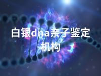 白银dna亲子鉴定机构