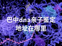 巴中dna亲子鉴定地址在哪里