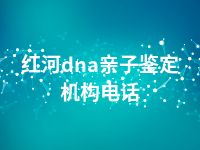 红河dna亲子鉴定机构电话