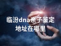 临汾dna亲子鉴定地址在哪里