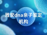 雅安dna亲子鉴定机构