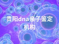 贵阳dna亲子鉴定机构