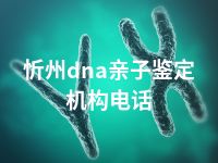 忻州dna亲子鉴定机构电话