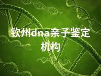 钦州dna亲子鉴定机构