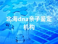 北海dna亲子鉴定机构