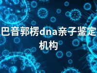 巴音郭楞dna亲子鉴定机构