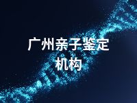 广州亲子鉴定机构