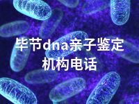 毕节dna亲子鉴定机构电话