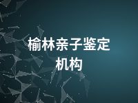 榆林亲子鉴定机构