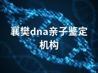 襄樊dna亲子鉴定机构