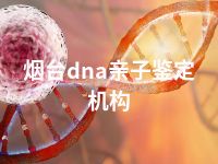 烟台dna亲子鉴定机构