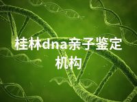 桂林dna亲子鉴定机构