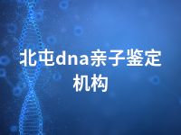 北屯dna亲子鉴定机构