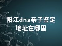 阳江dna亲子鉴定地址在哪里