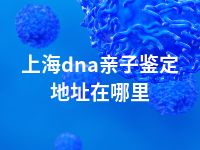 上海dna亲子鉴定地址在哪里