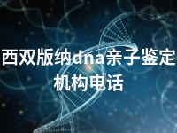 西双版纳dna亲子鉴定机构电话