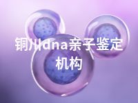 铜川dna亲子鉴定机构