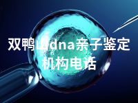 双鸭山dna亲子鉴定机构电话