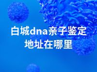 白城dna亲子鉴定地址在哪里