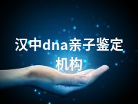 汉中dna亲子鉴定机构