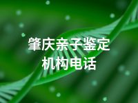 肇庆亲子鉴定机构电话