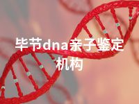 毕节dna亲子鉴定机构