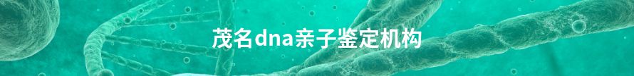 湛江dna亲子鉴定地址在哪里