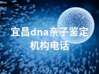 宜昌dna亲子鉴定机构电话