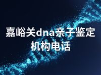 嘉峪关dna亲子鉴定机构电话