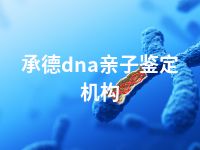 承德dna亲子鉴定机构