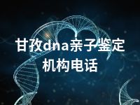 甘孜dna亲子鉴定机构电话